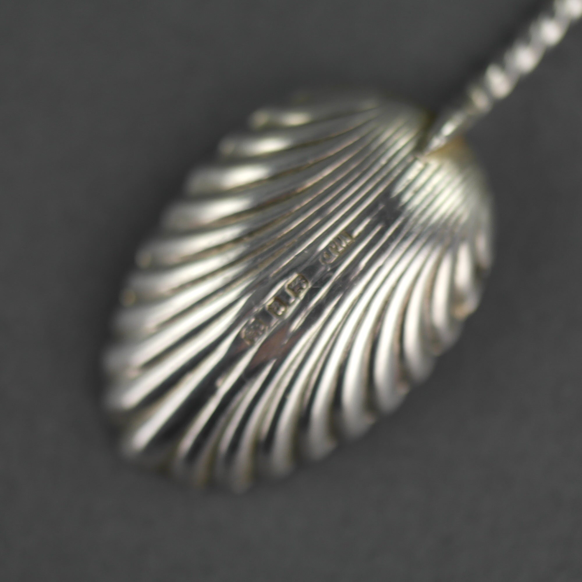Cuchara antigua de plata de ley de 1898 William Devonport Apóstol y cuenco de concha
