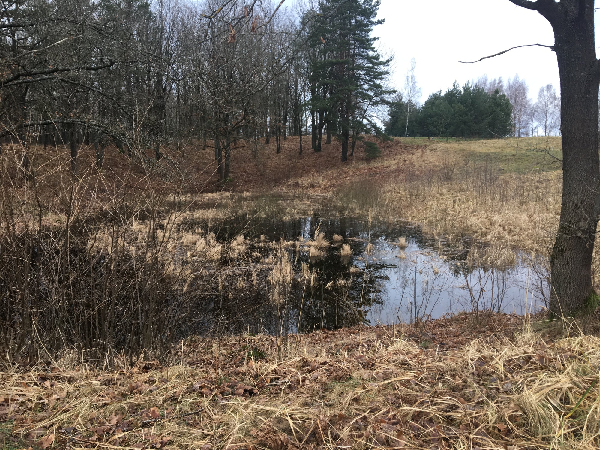 Terreno en venta en 324 acres en la zona de desarrollo de la ciudad Elektrenai, Lituania 