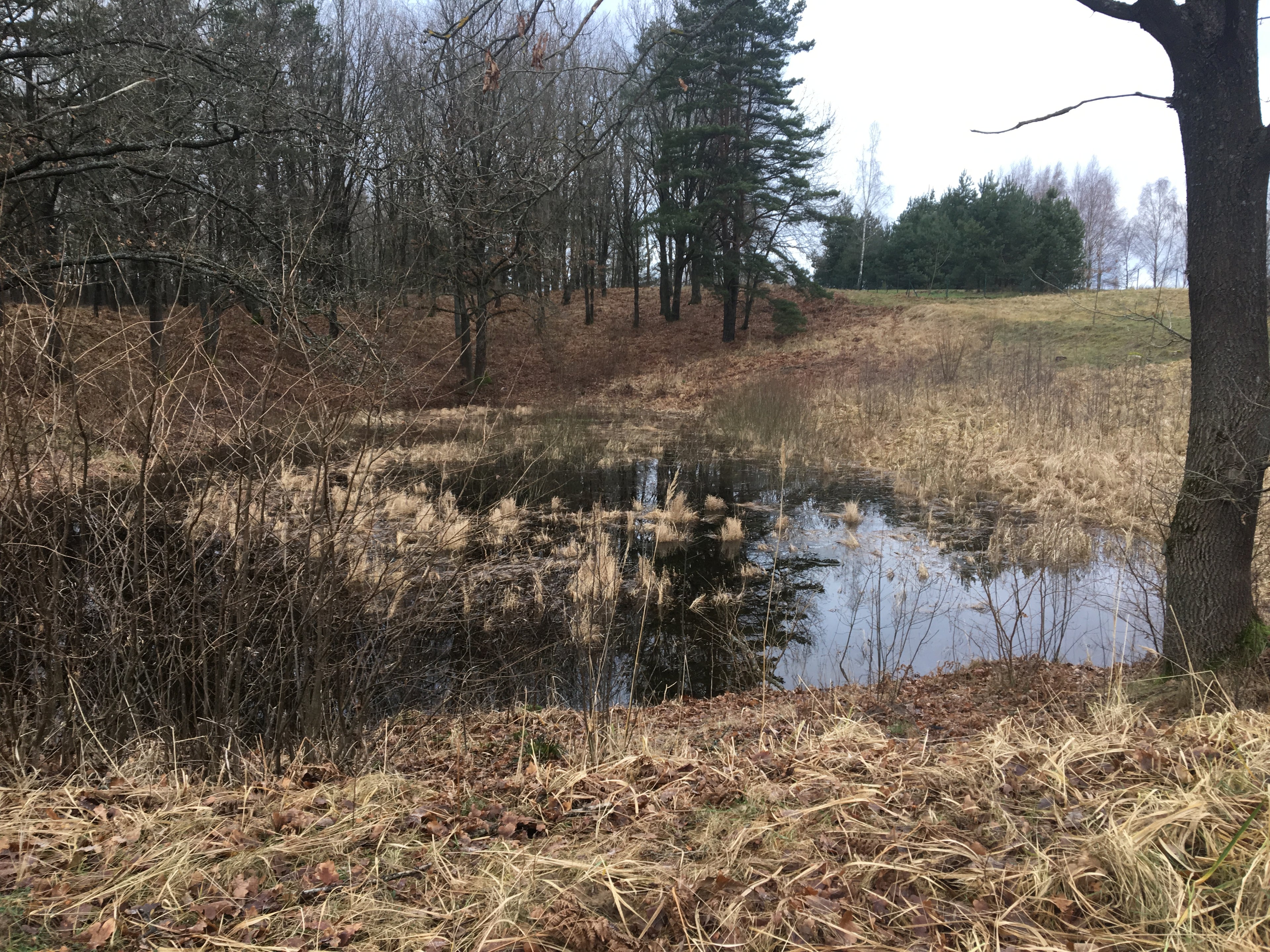 Land for sale in 324 acres in the development zone of the city Elektrenai, Lithuania