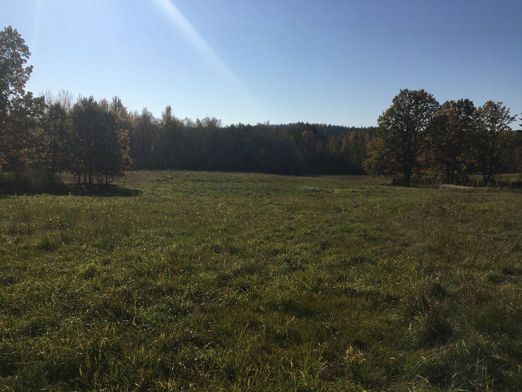 Terreno en venta en 324 acres en la zona de desarrollo de la ciudad Elektrenai, Lituania 