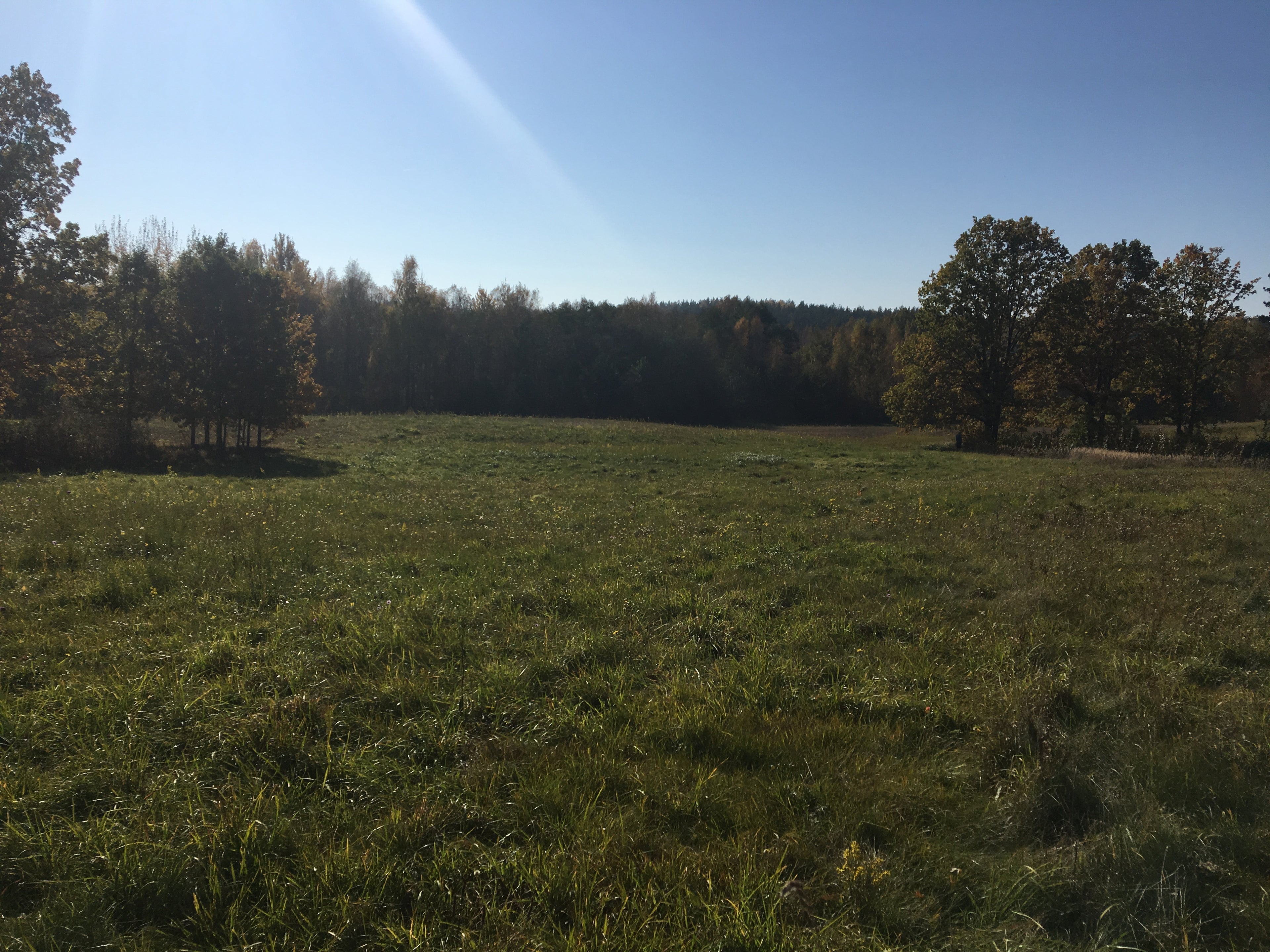Land for sale in 324 acres in the development zone of the city Elektrenai, Lithuania