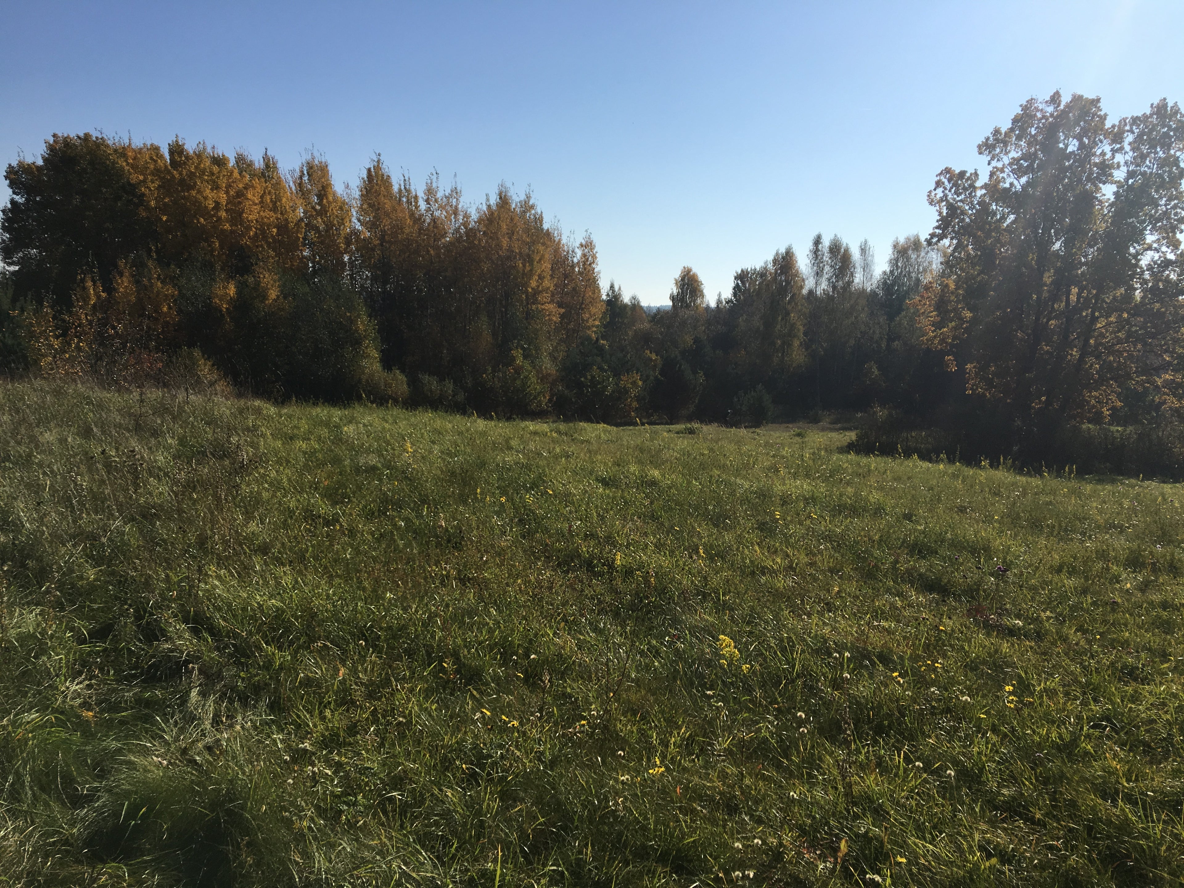 Land for sale in 324 acres in the development zone of the city Elektrenai, Lithuania