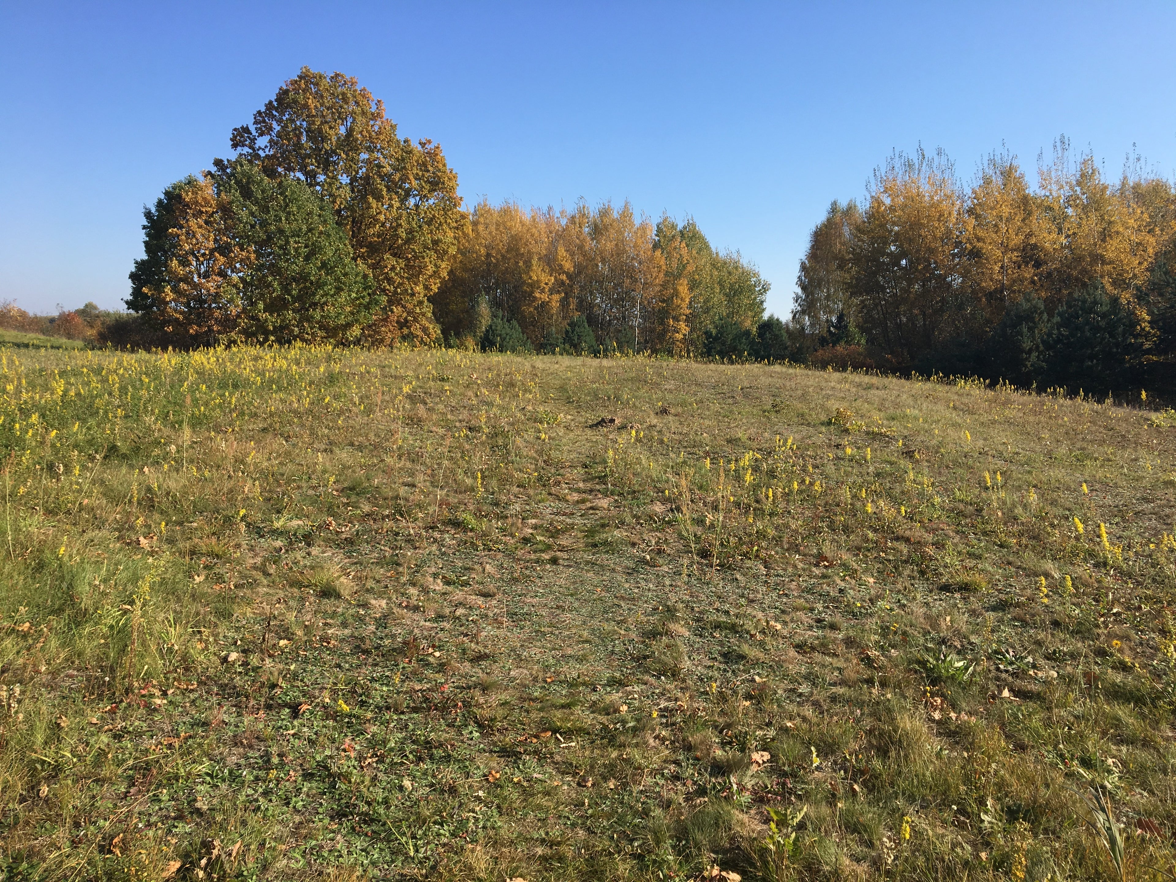 Land for sale in 324 acres in the development zone of the city Elektrenai, Lithuania