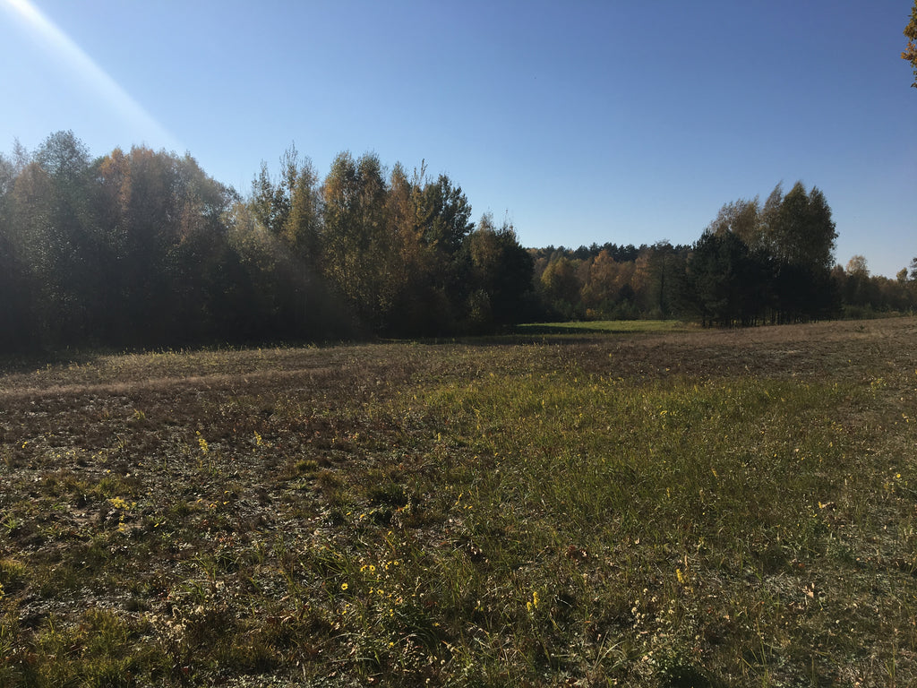Terreno en venta en 324 acres en la zona de desarrollo de la ciudad Elektrenai, Lituania 