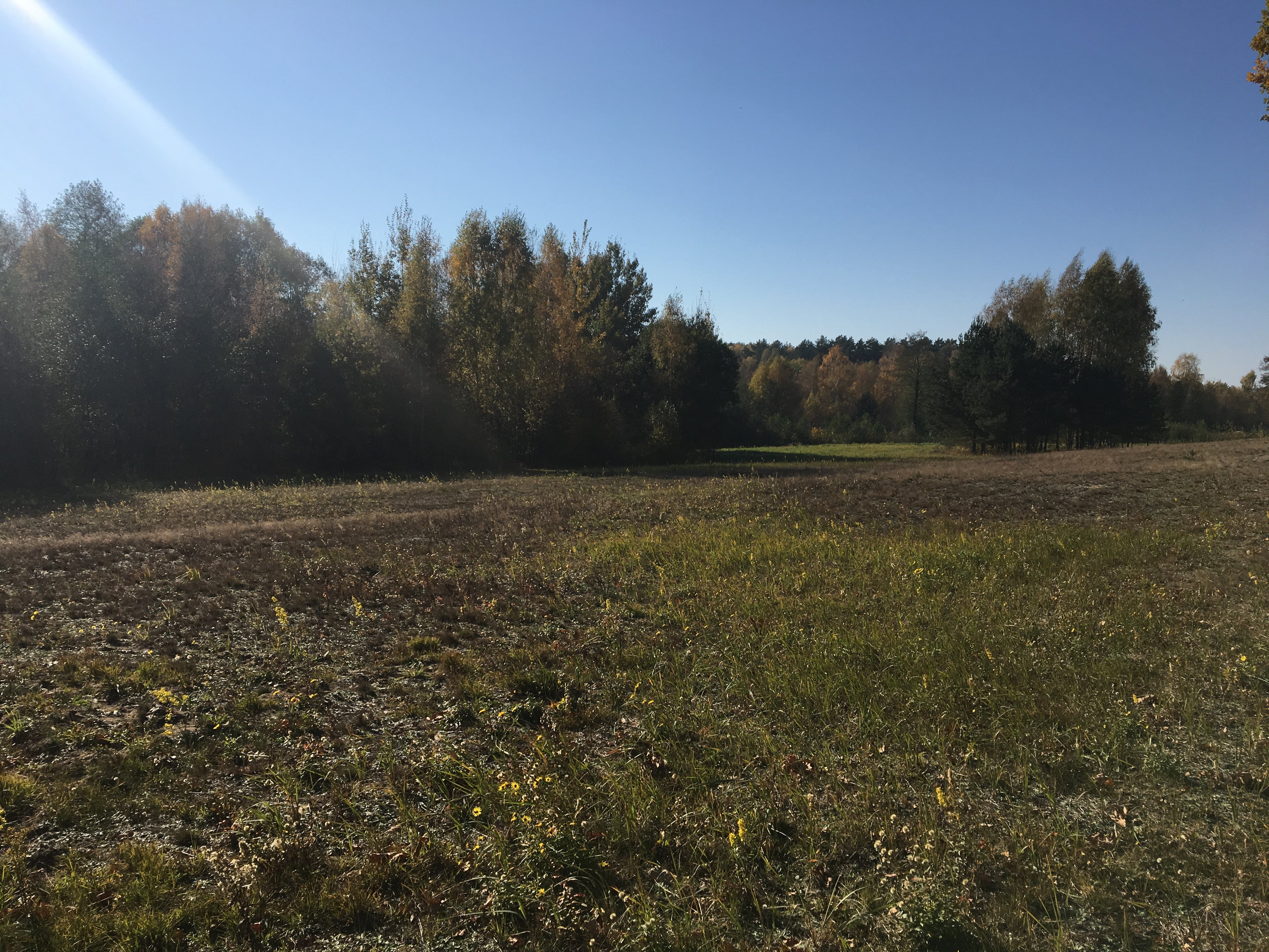 Land for sale in 324 acres in the development zone of the city Elektrenai, Lithuania
