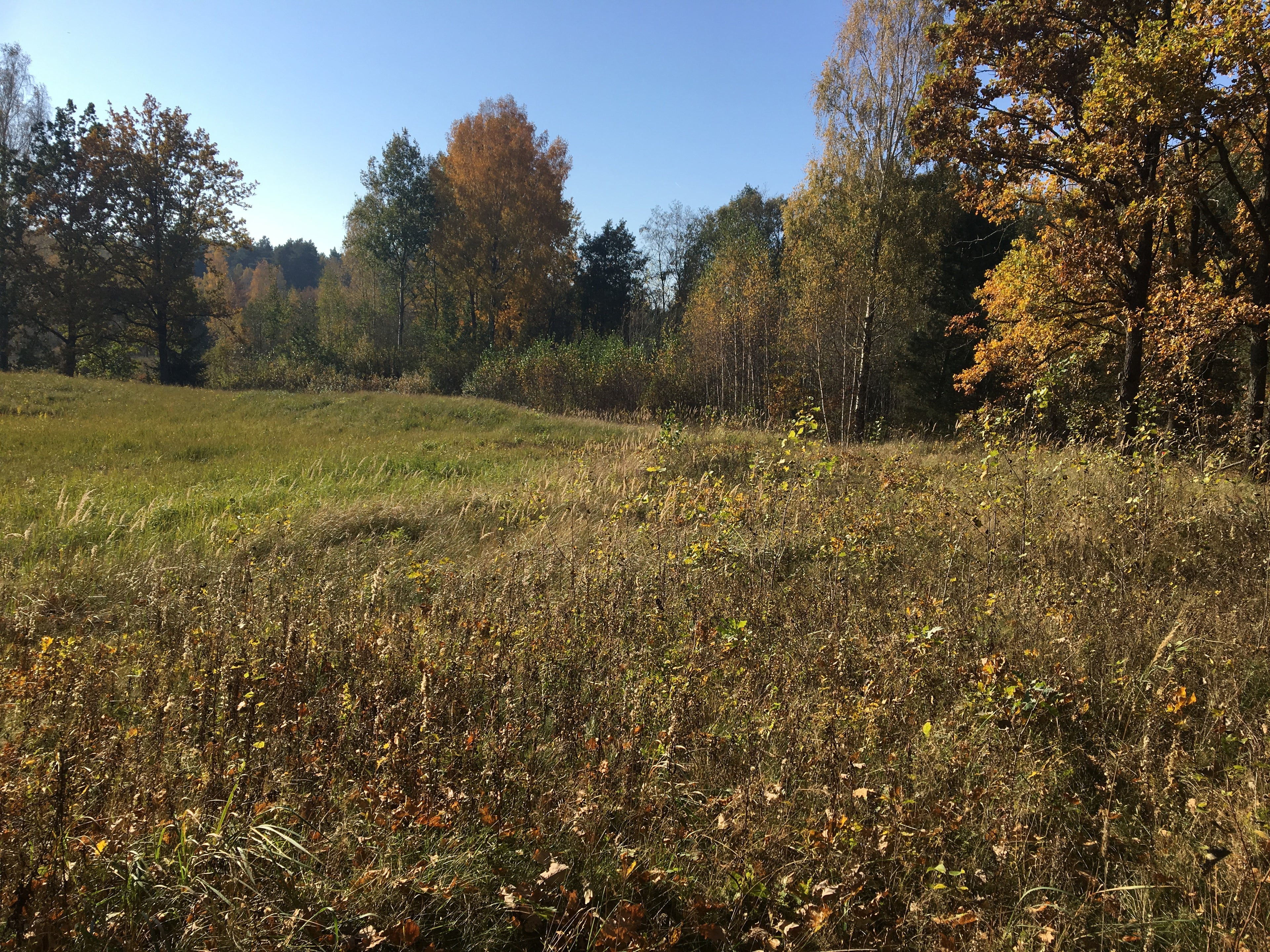 Land for sale in 324 acres in the development zone of the city Elektrenai, Lithuania