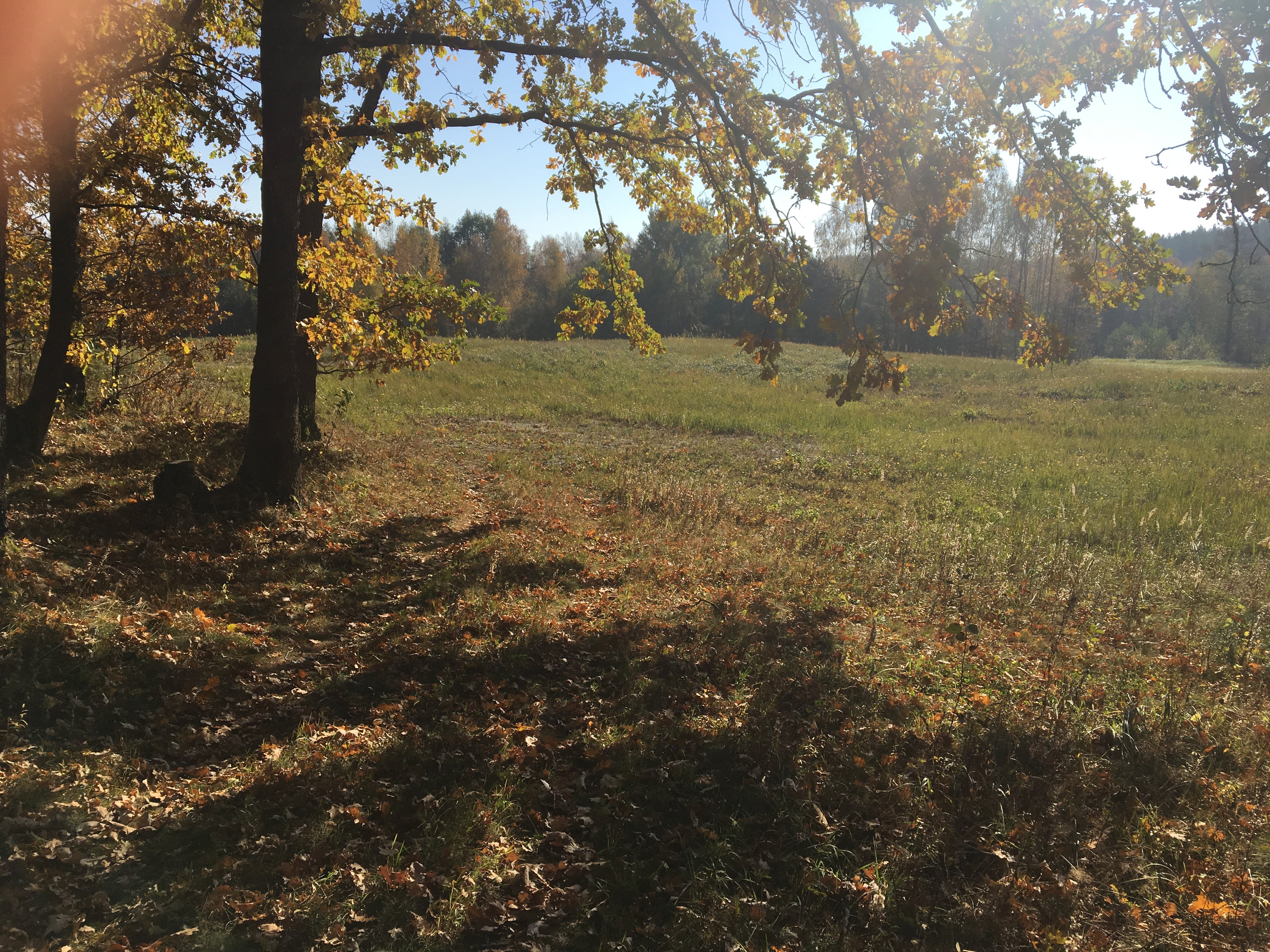 Land for sale in 324 acres in the development zone of the city Elektrenai, Lithuania