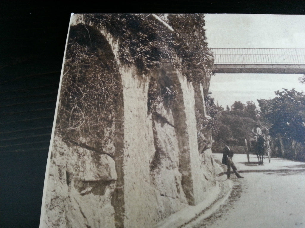 Antique France postcard 122 Cannes La Route de la Californie LL Carte Postale