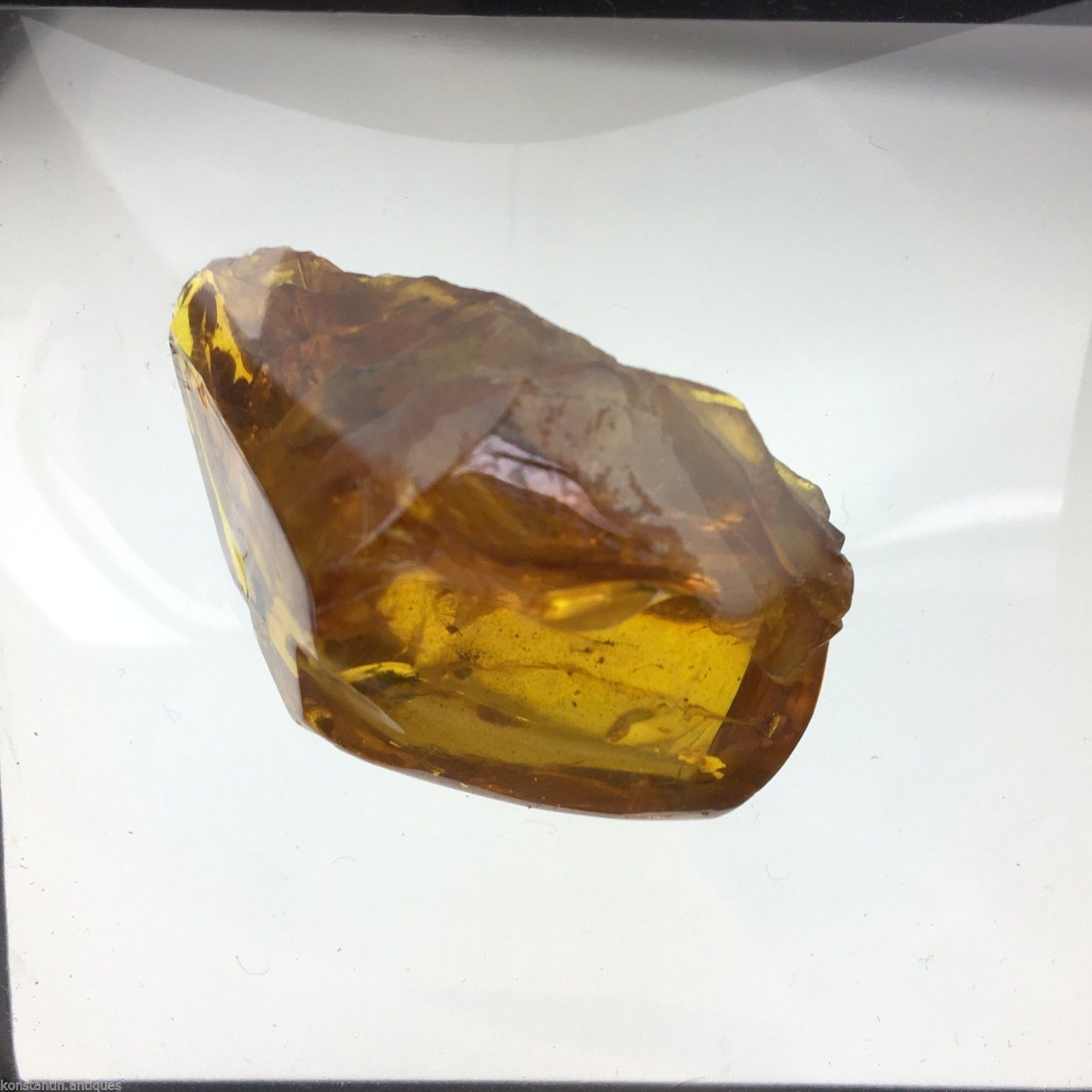 Piedra auténtica de ámbar báltico con inclusión en marco de exhibición. 