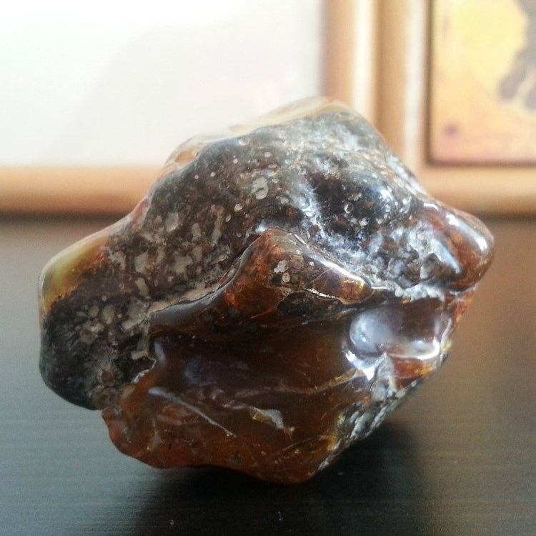 Collectible Genuine Baltic Amber stone natural fossil