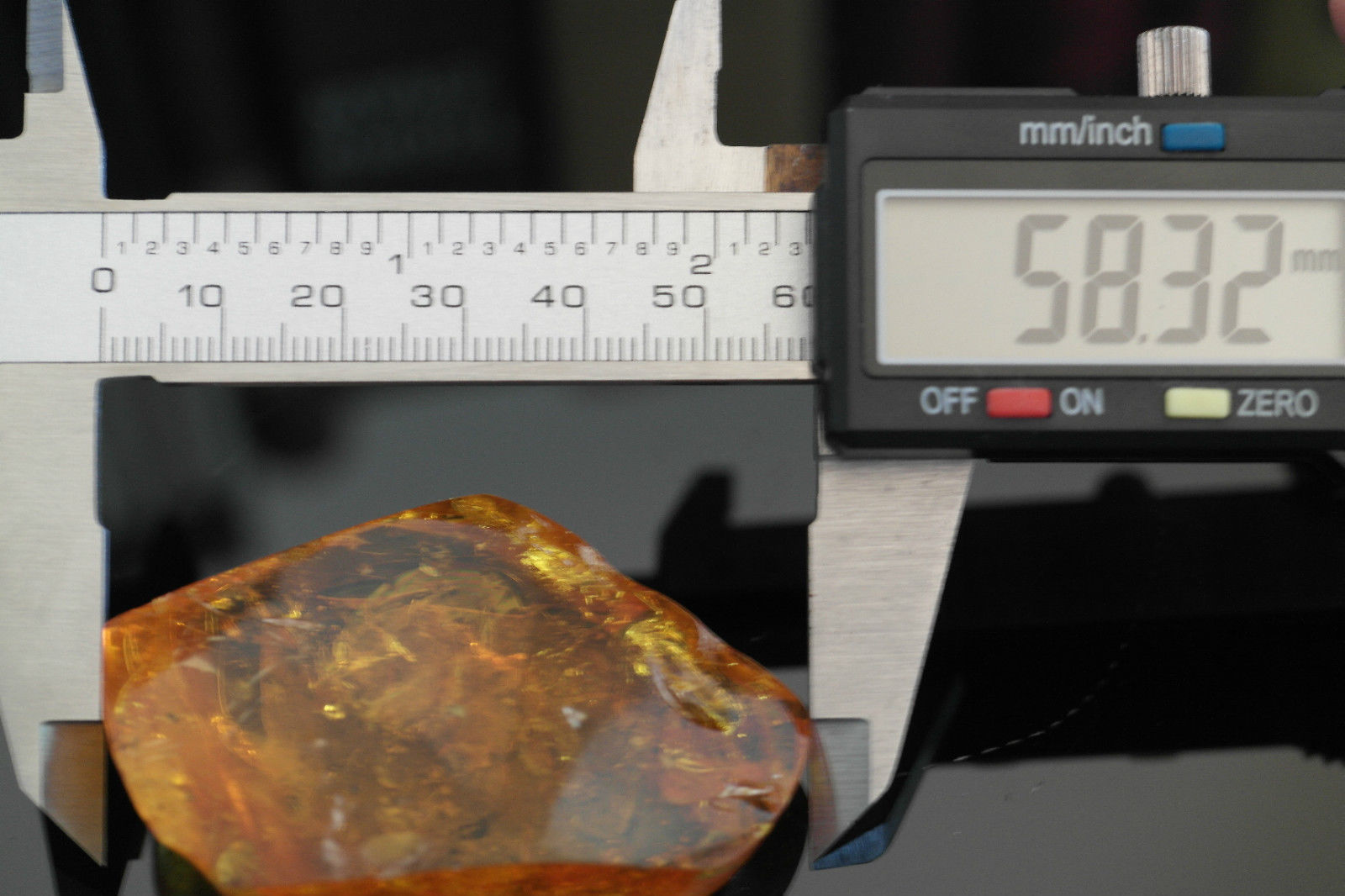 Piedra auténtica de ámbar báltico con insectos de inclusión en el marco de exposición.