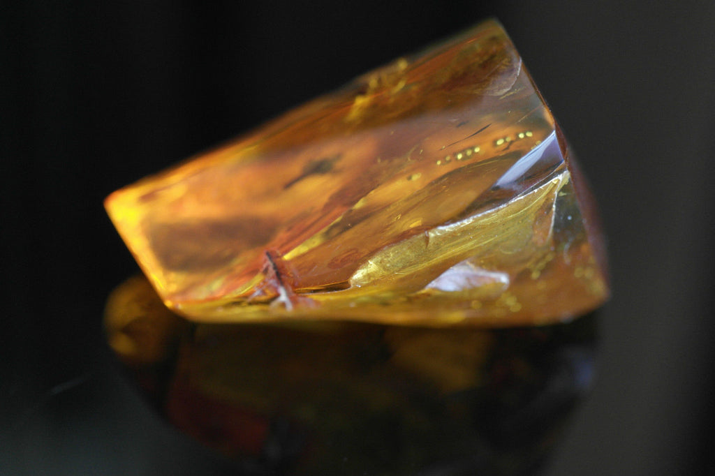 Baltic Amber polished raw stone with Inclusion bugs framed