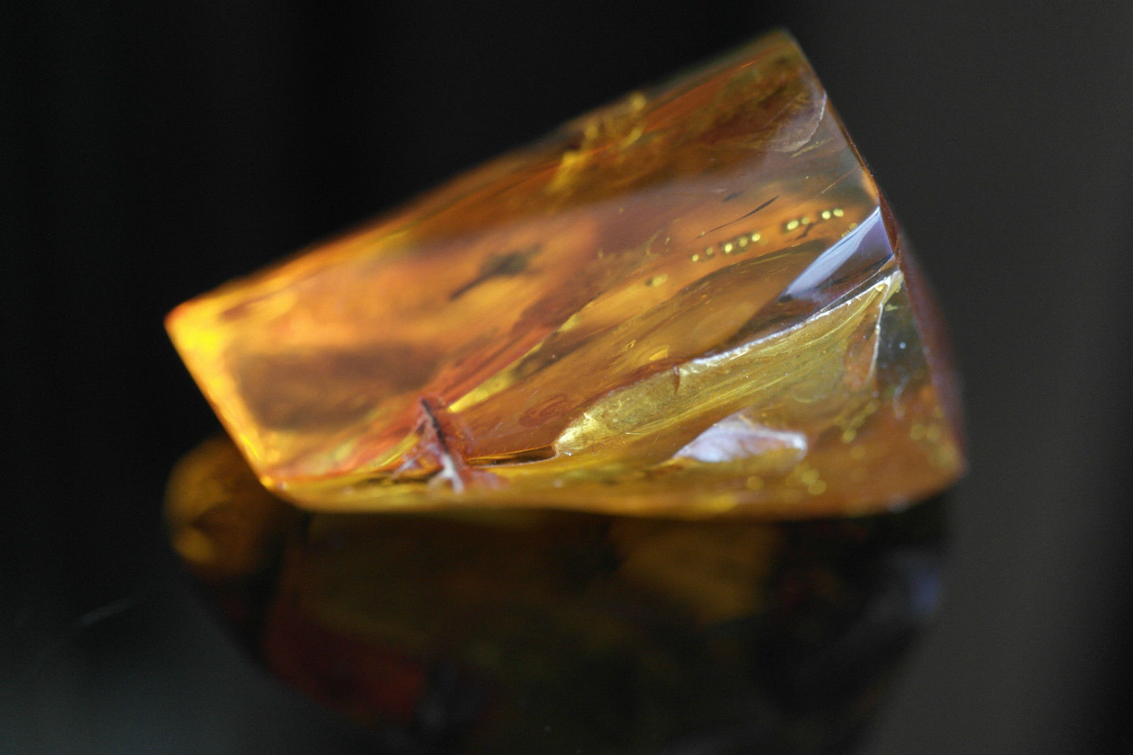 Piedra en bruto pulida de ámbar báltico con insectos de inclusión enmarcados