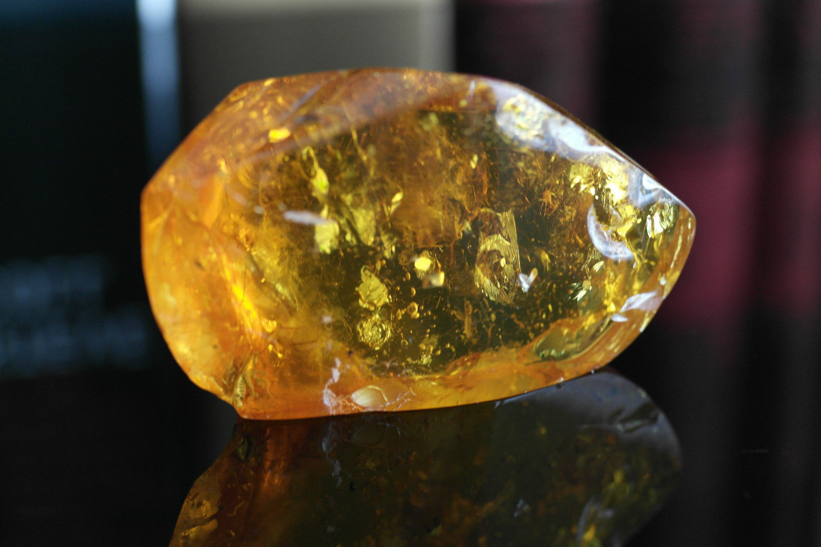 Piedra auténtica de ámbar báltico con insectos de inclusión en el marco de exposición.