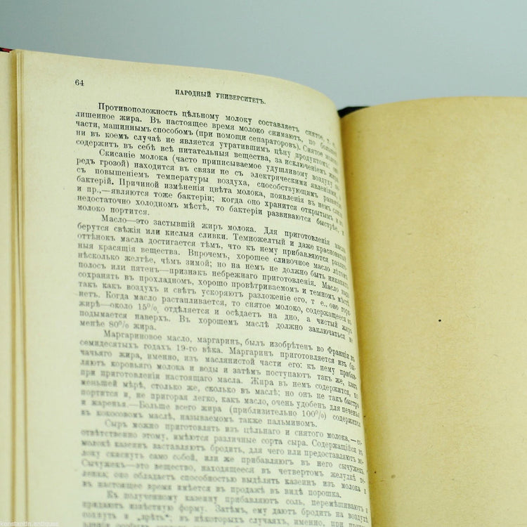 Antikes Buch „Lebensmittel und ihre Gewinnung“ aus dem Jahr 1908, Russisches Reich, St. Petersburg