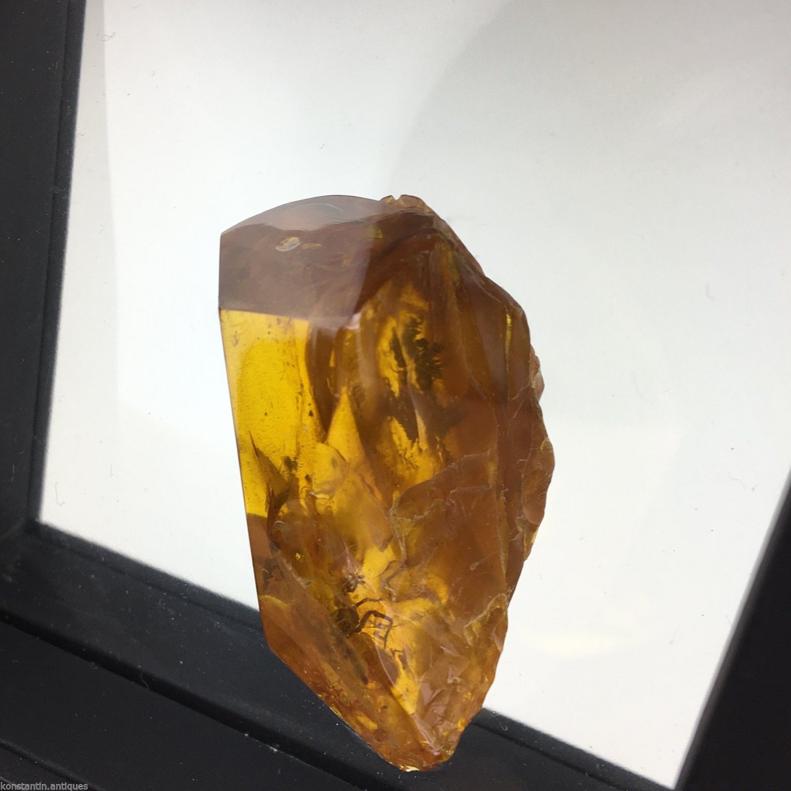 Piedra auténtica de ámbar báltico con inclusión en marco de exhibición. 