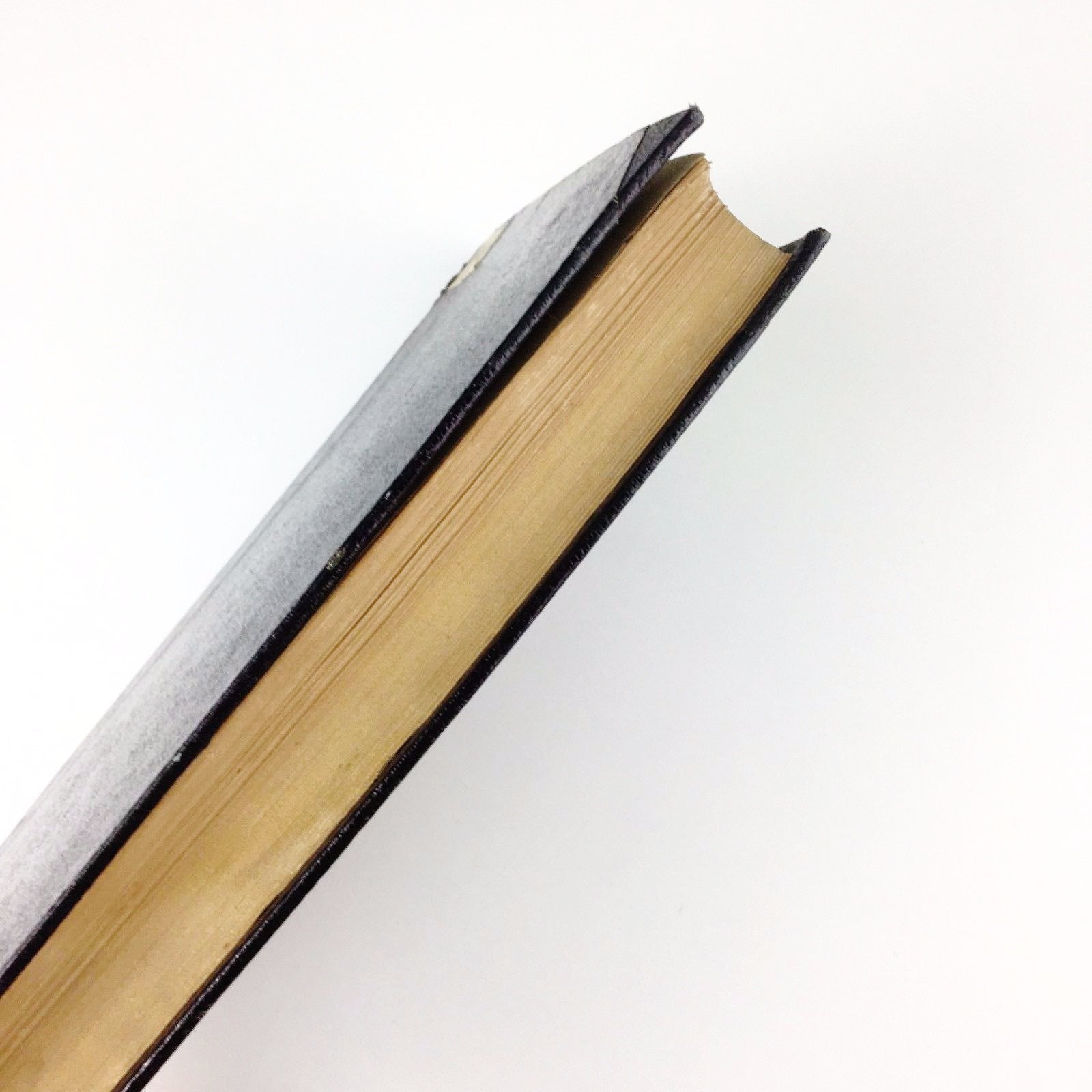 Antique 1913 book History of pedagogic systems Russian Empire