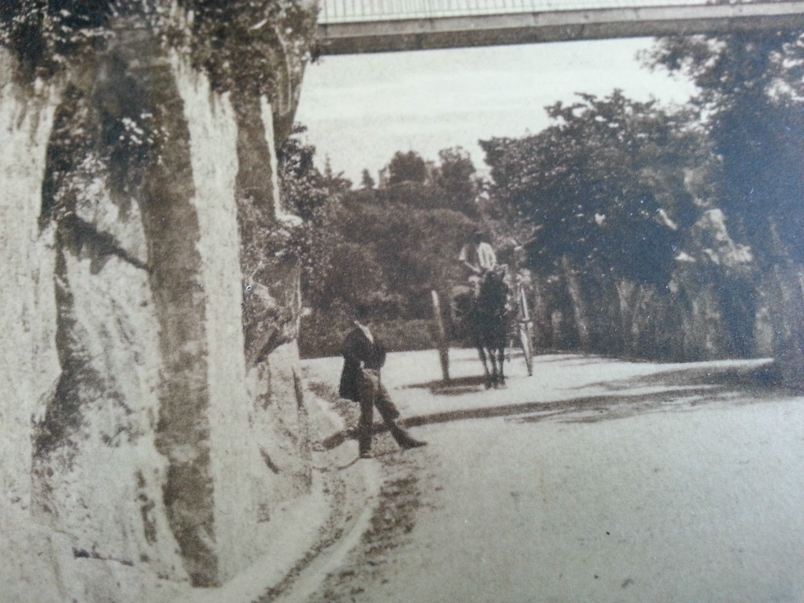 Antique France postcard 122 Cannes La Route de la Californie LL Carte Postale