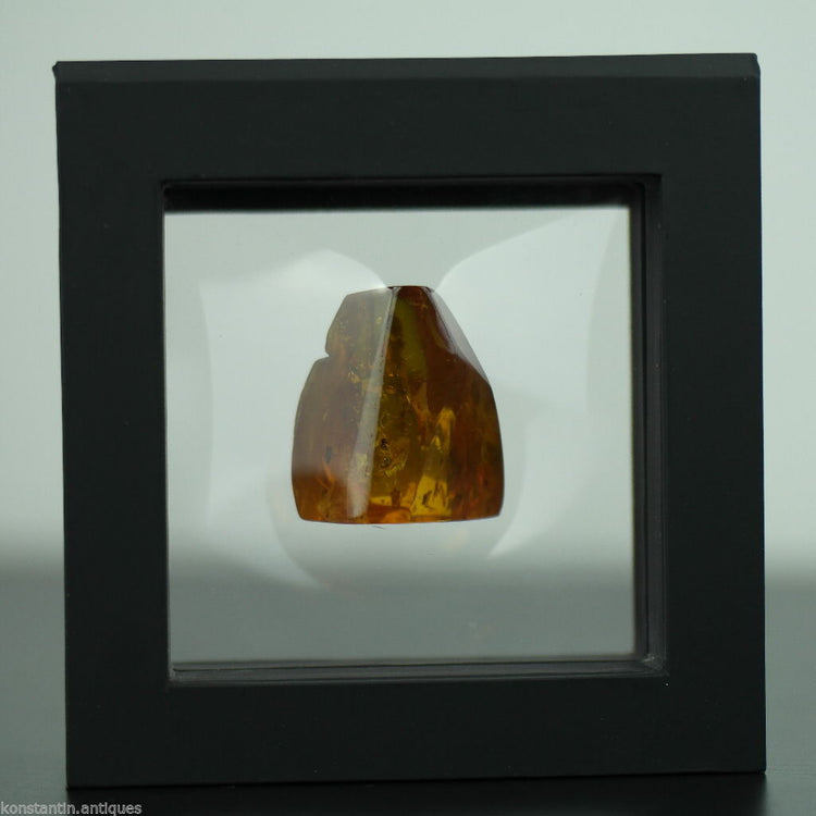 Baltic Amber polished raw stone with Inclusion bugs framed