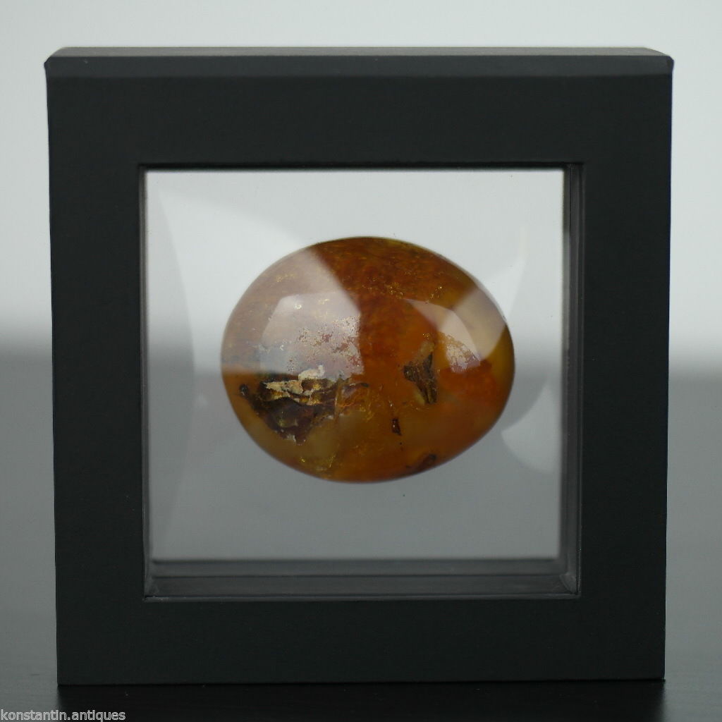 Genuine Baltic Amber polished raw stone in the display frame
