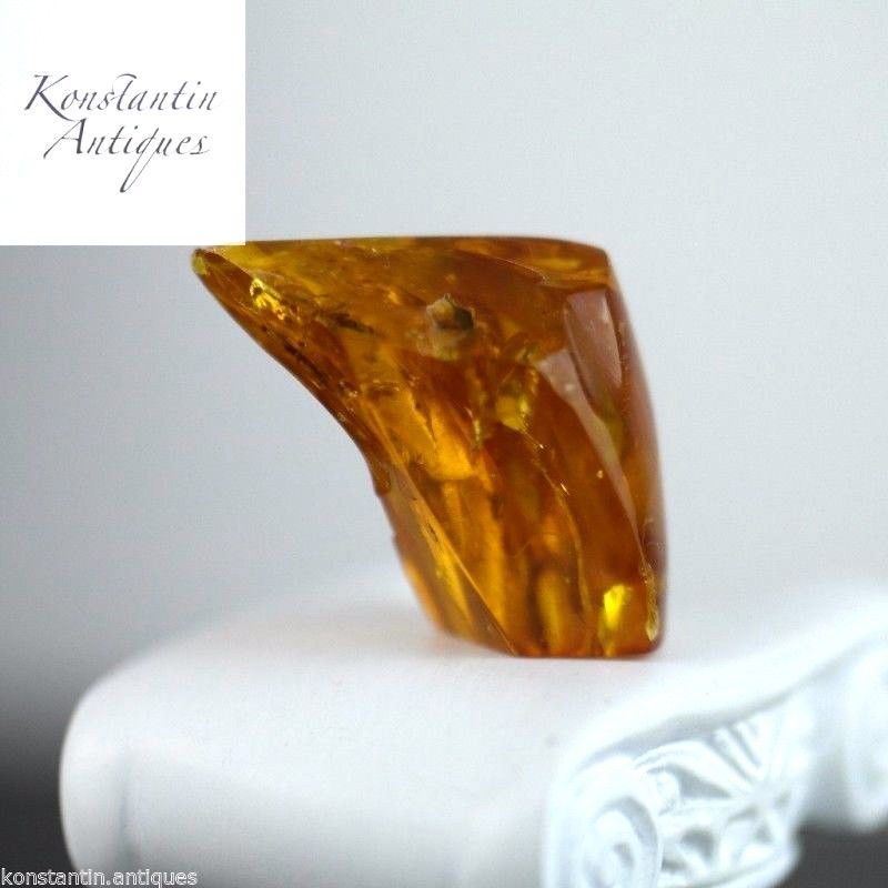 Genuine Baltic Amber stone with Inclusion bug in display frame