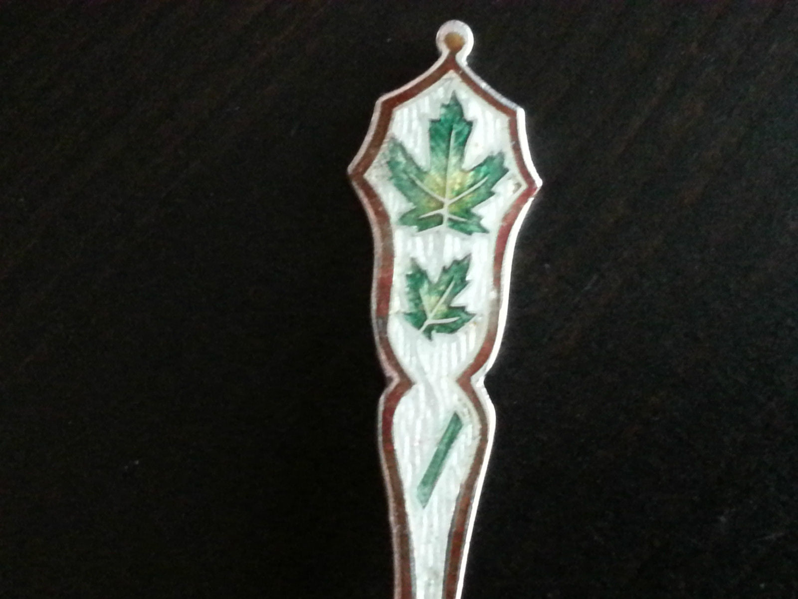 Cuchara de plata de ley con esmalte antiguo Montreal Canadá