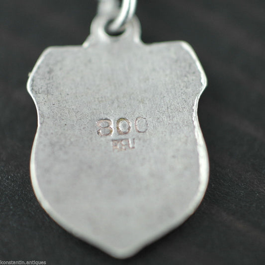 Vintage Schweiz enamel 800 REU silver charm pendant