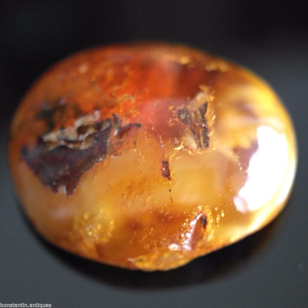 Genuine Baltic Amber polished raw stone in the display frame