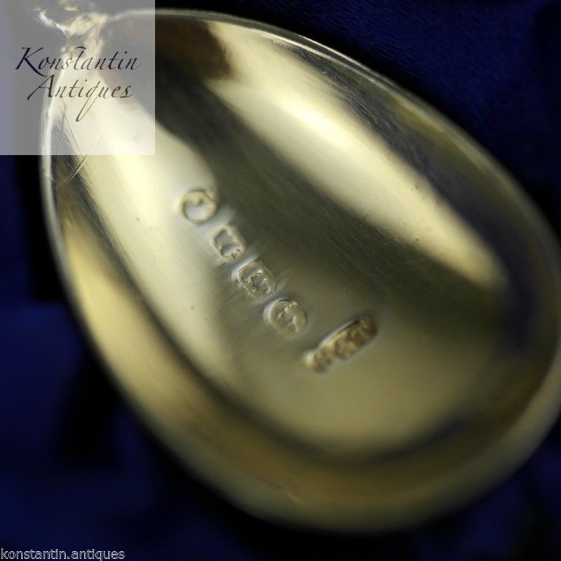 Antiguas cucharas de apóstol victorianas de plata de ley de 1883 chapadas en oro 4+1 juego en caja