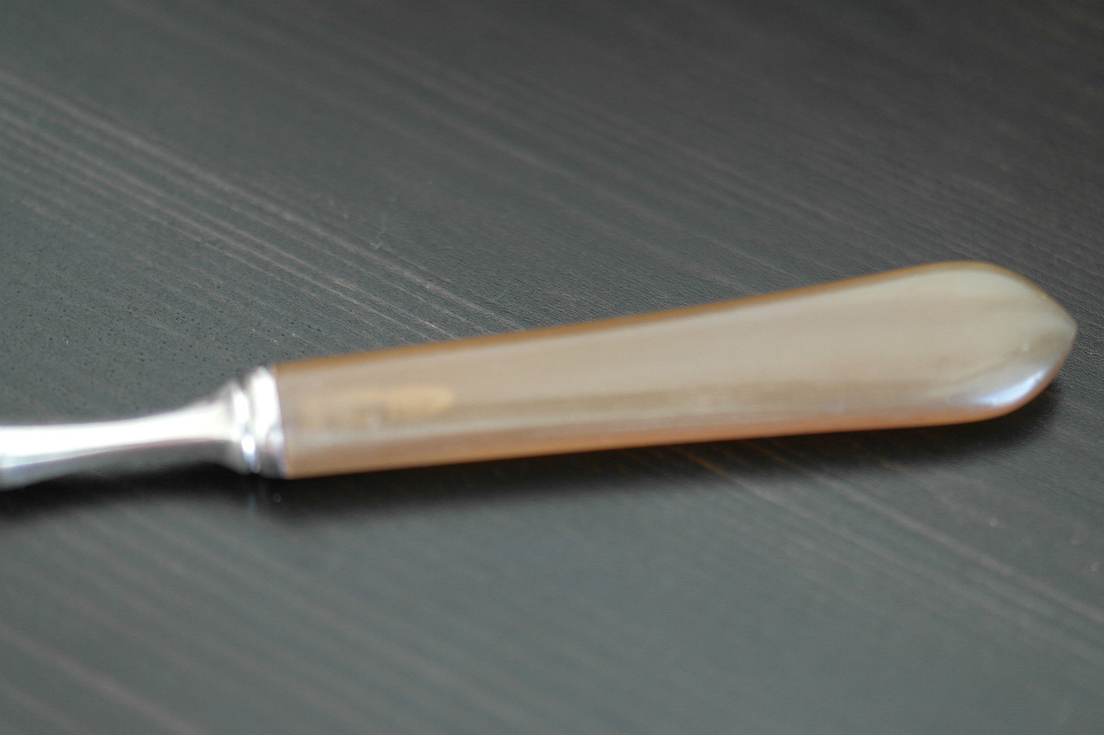 Pasador de páginas antiguo de plata maciza de Oriente Medio