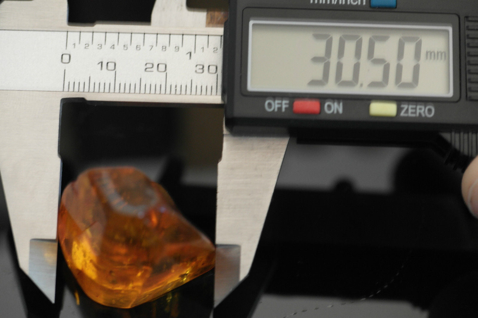 Baltic Amber polished raw stone with Inclusion bugs framed