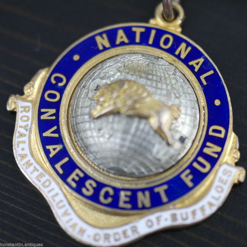 Emaille-Medaille *RAOB* GLE NATIONAL CONVALESCENT FUND tolles Geschenk