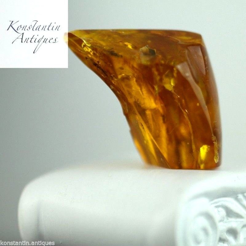 Genuine Baltic Amber stone with Inclusion bug in display frame