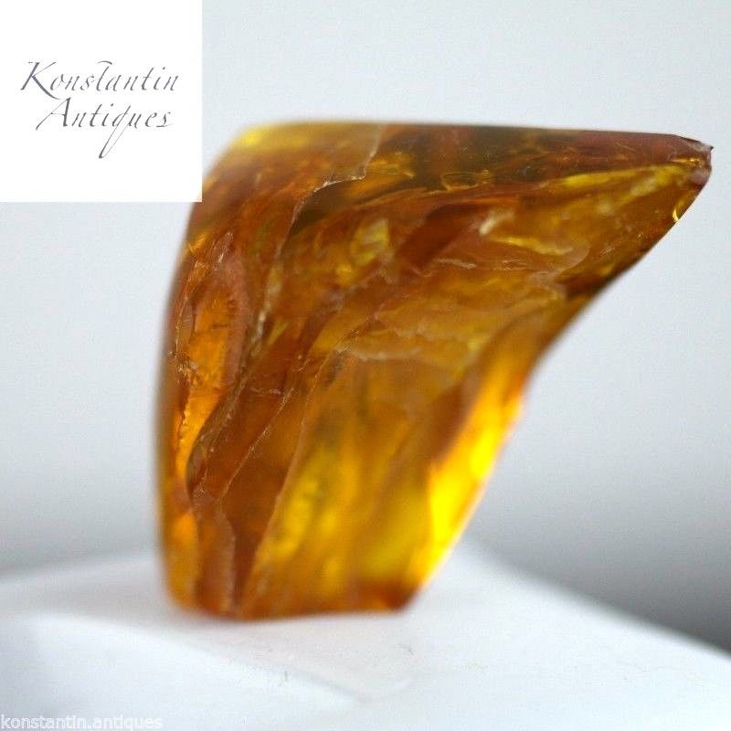 Echter baltischer Bernsteinstein mit Einschlusskäfer im Ausstellungsrahmen