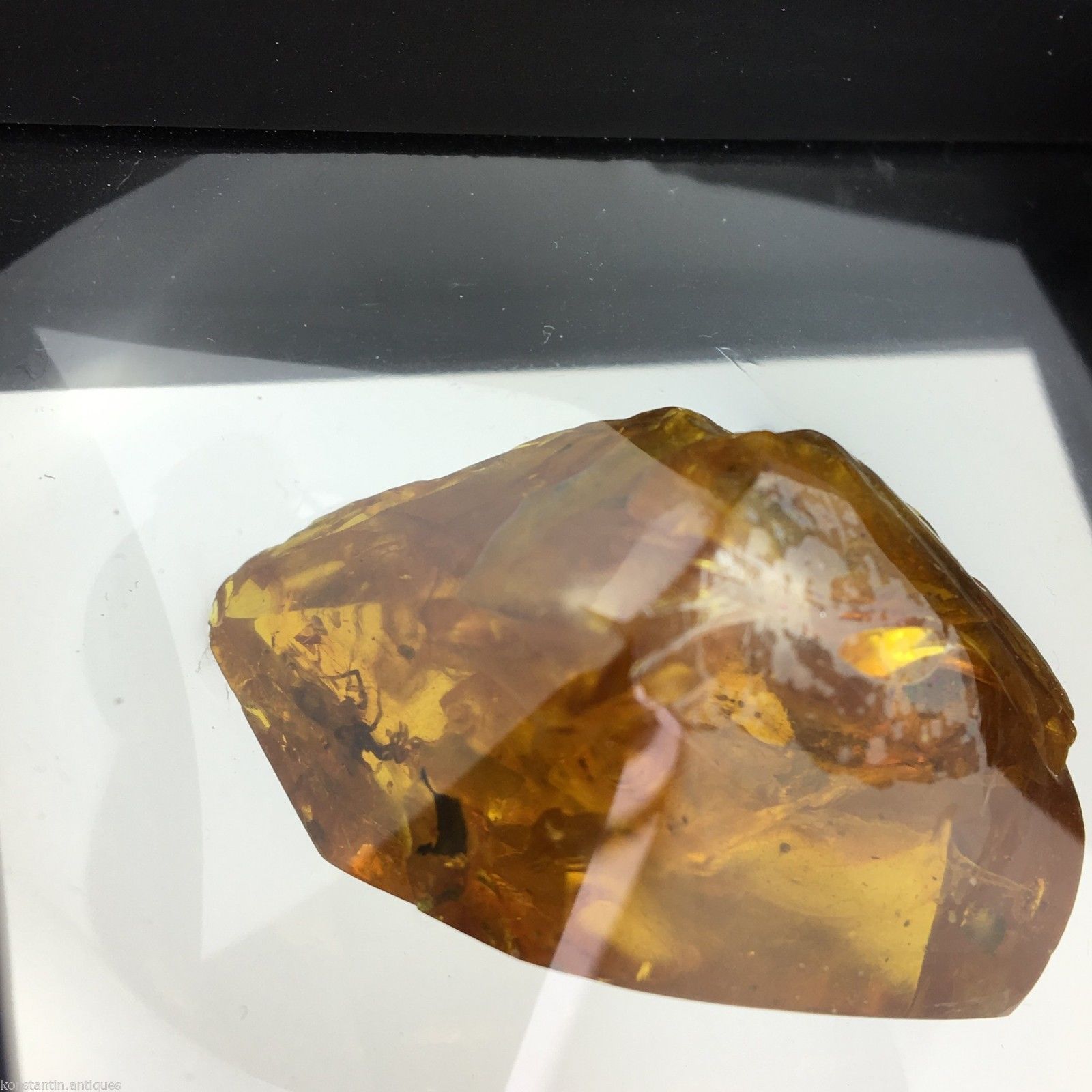 Piedra auténtica de ámbar báltico con inclusión en marco de exhibición. 