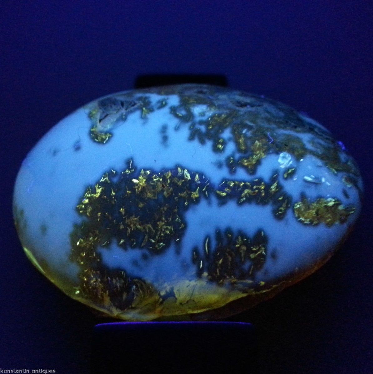 Piedra en bruto pulida de ámbar báltico auténtico en el marco de exposición.