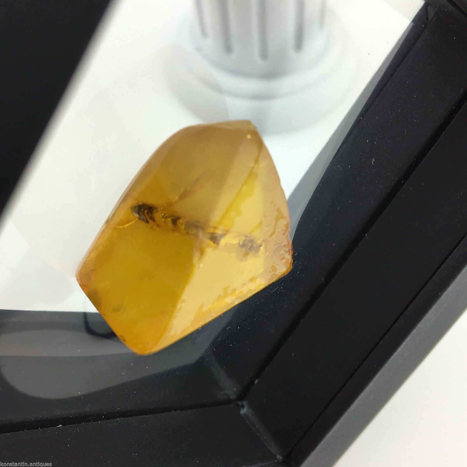 Piedra auténtica de ámbar báltico con inclusión en marco de exhibición.