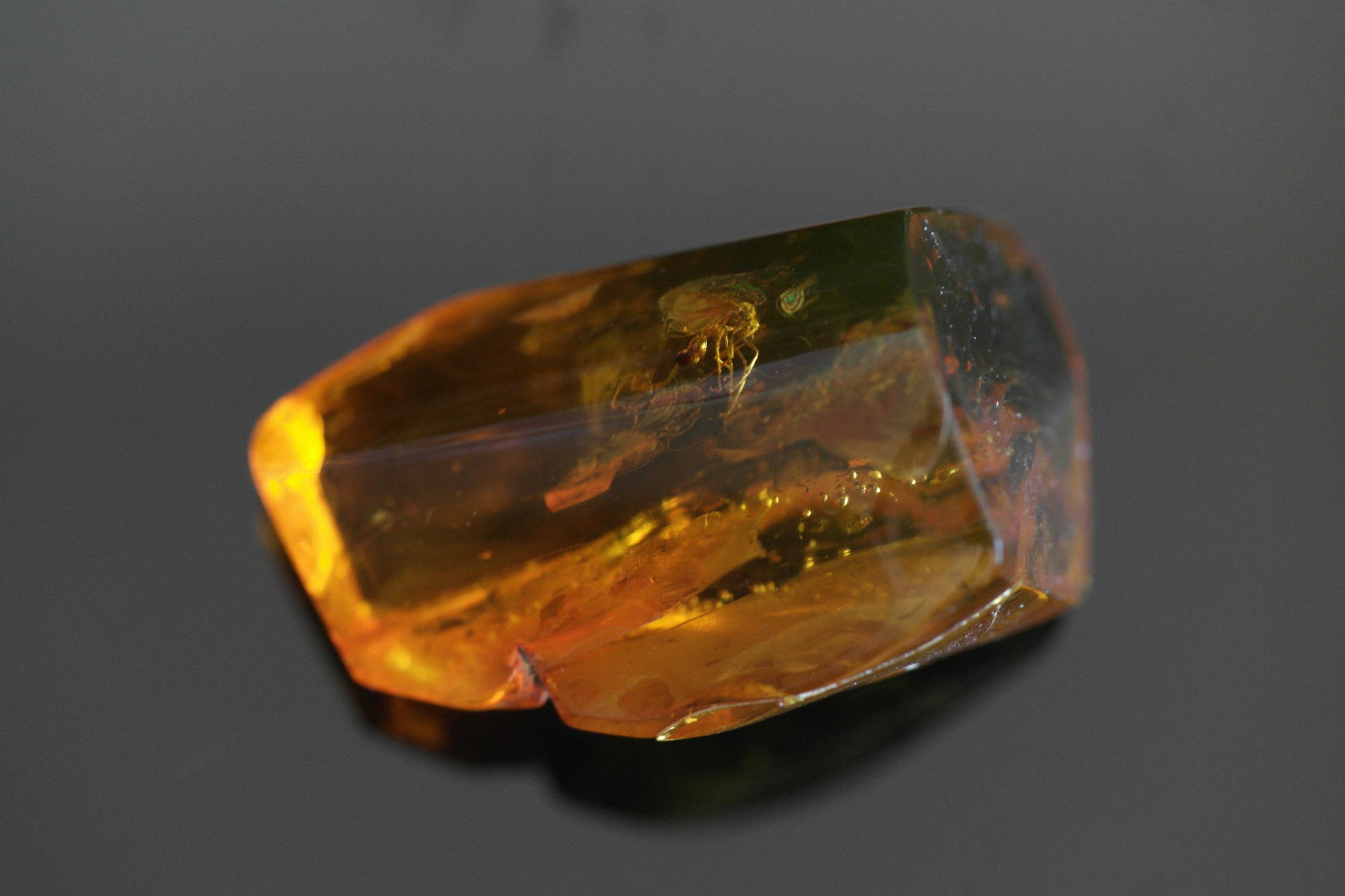 Baltischer Bernstein, polierter Rohstein mit eingerahmten Einschlusskäfern