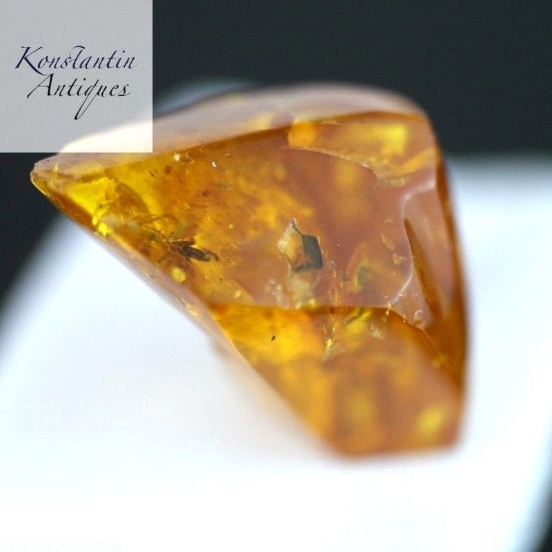 Genuine Baltic Amber stone with Inclusion bug in display frame