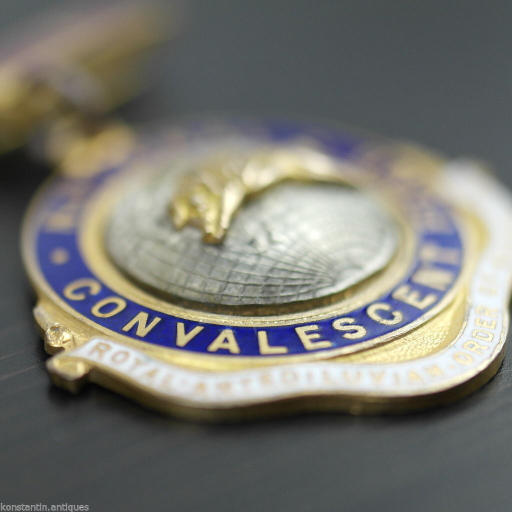 Enamel Medal *RAOB* GLE NATIONAL CONVALESCENT FUND great gift