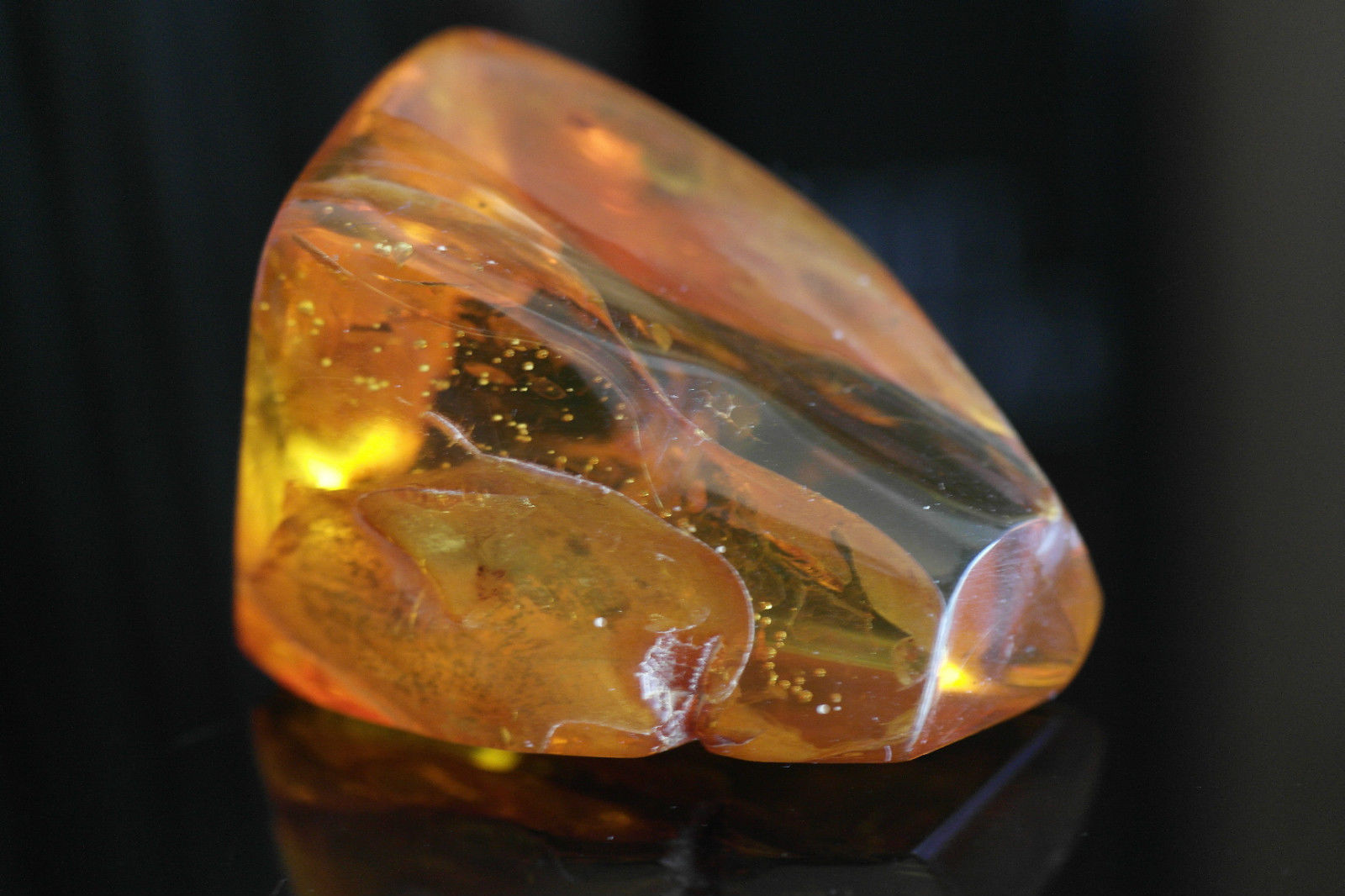 Baltischer Bernstein, polierter Rohstein mit eingerahmten Einschlusskäfern