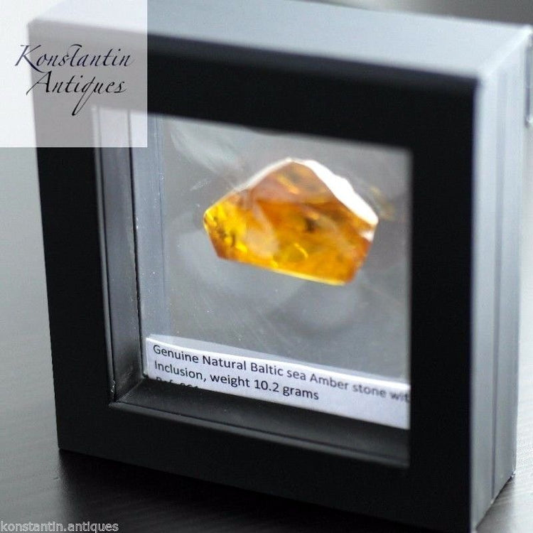 Genuine Baltic Amber stone with Inclusion bug in display frame