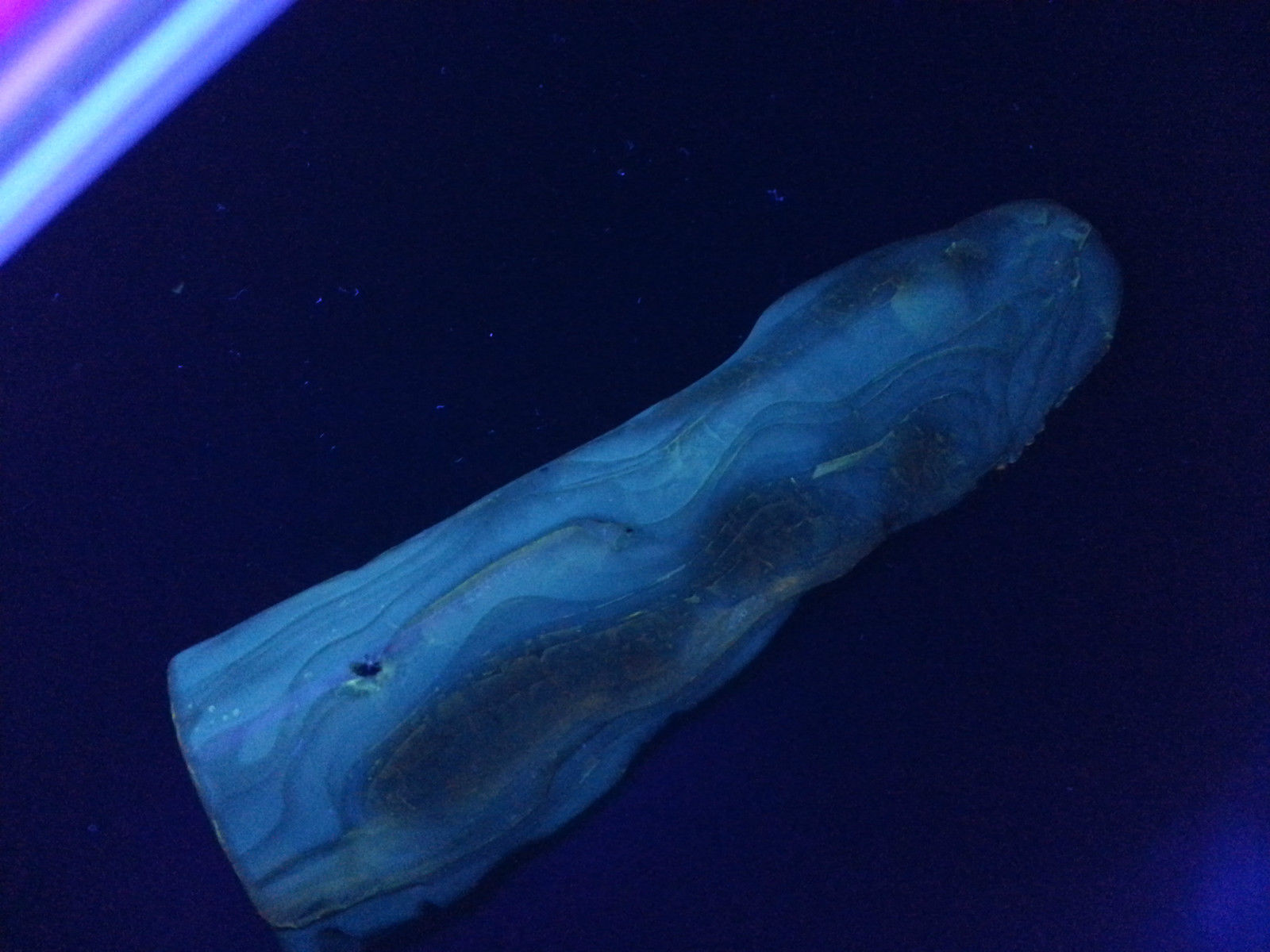 Real Amber tester - UV Black light Tube flashlite banknotes doc identification