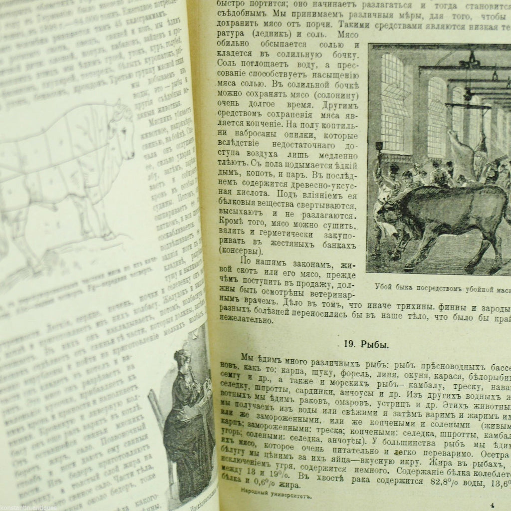 Antikes Buch „Lebensmittel und ihre Gewinnung“ aus dem Jahr 1908, Russisches Reich, St. Petersburg