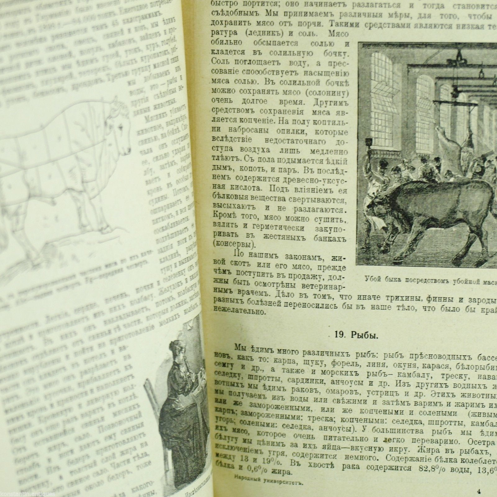 Antikes Buch „Lebensmittel und ihre Gewinnung“ aus dem Jahr 1908, Russisches Reich, St. Petersburg
