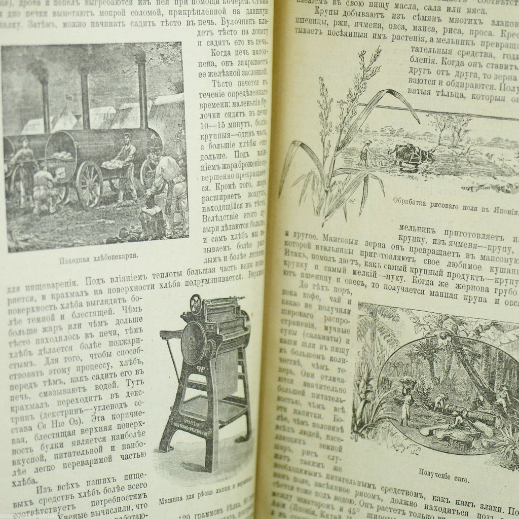 Antikes Buch „Lebensmittel und ihre Gewinnung“ aus dem Jahr 1908, Russisches Reich, St. Petersburg
