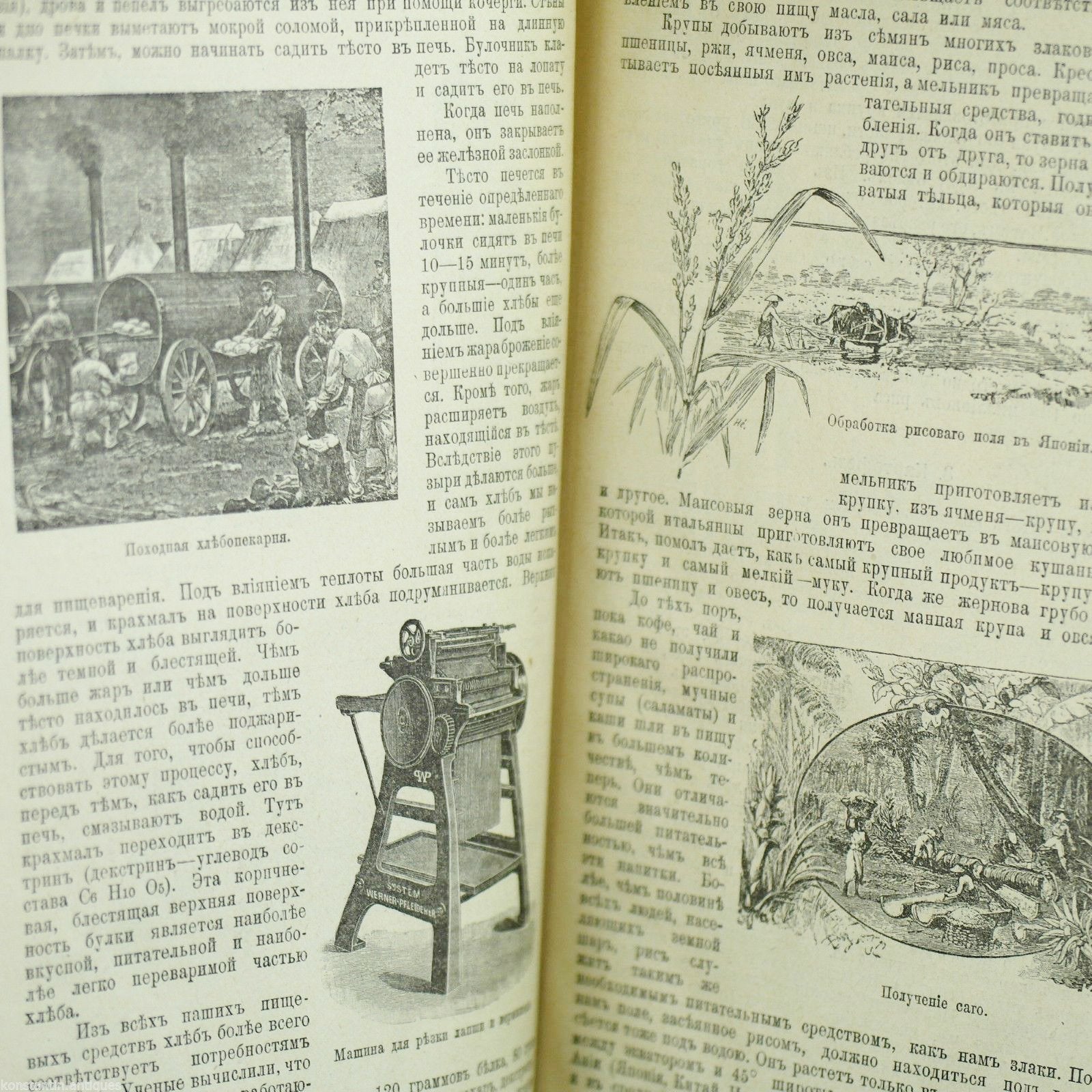 Antikes Buch „Lebensmittel und ihre Gewinnung“ aus dem Jahr 1908, Russisches Reich, St. Petersburg