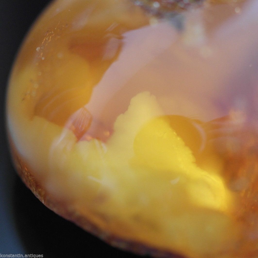 Genuine Baltic Amber polished raw stone in the display frame