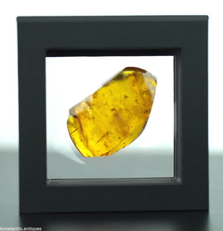 Genuine Baltic Amber stone with Inclusion bugs in the display frame