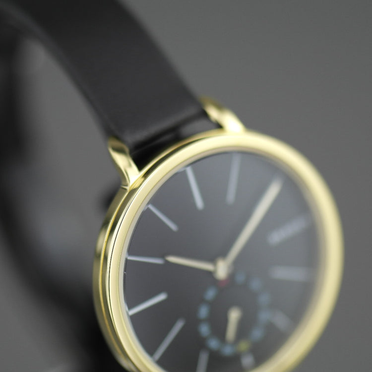 Skagen Hagen vergoldete Armbanduhr mit Armband